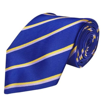 ORDER OF THE SECRET MONITOR AMD NECKTIE - BLUE WITHE STRIPES (3)