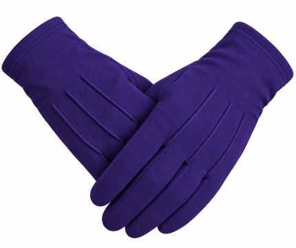 Royal Purple Masonic Gloves